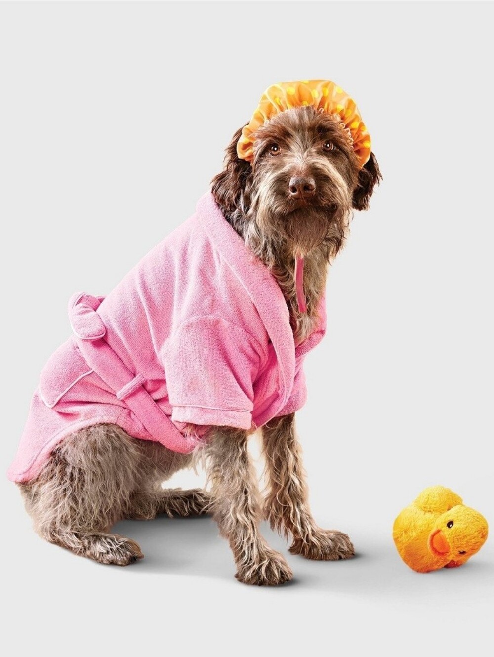 Dog Bathrobe Halloween Costume